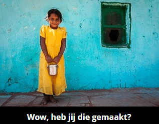 schnek.nl - schnek