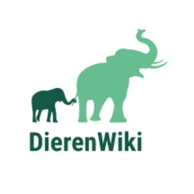 Wilt u alles weten over dieren?